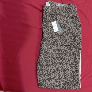 Size 16T Avenue pants new with tags